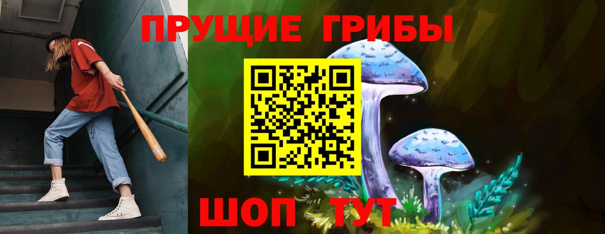 Псилоцибиновые грибы Psilocybine cubensis Чусовой